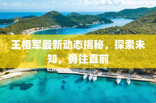 王相军最新动态揭秘，探索未知，勇往直前