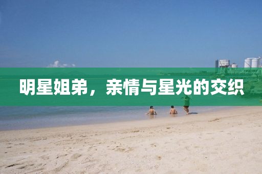 明星姐弟，亲情与星光的交织