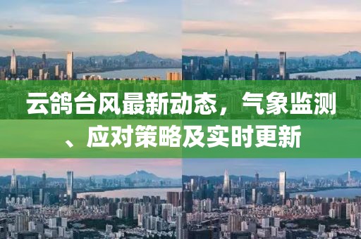 云鸽台风最新动态，气象监测、应对策略及实时更新