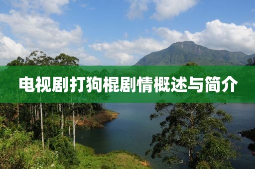 电视剧打狗棍剧情概述与简介