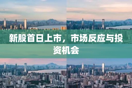 新股首日上市，市场反应与投资机会