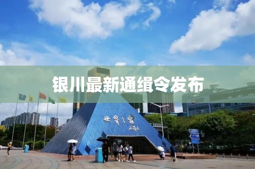 银川最新通缉令发布