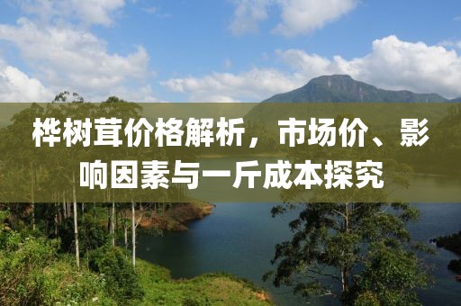 桦树茸价格解析，市场价、影响因素与一斤成本探究