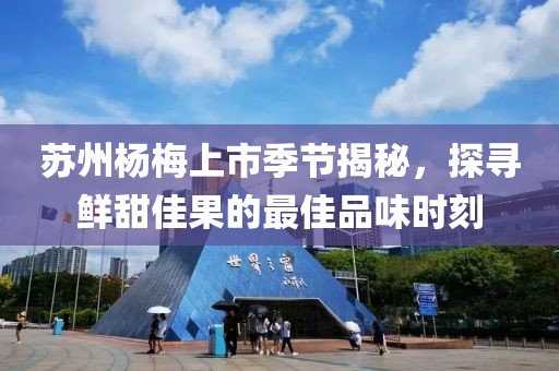 苏州杨梅上市季节揭秘，探寻鲜甜佳果的最佳品味时刻
