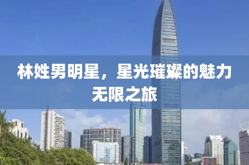 林姓男明星，星光璀璨的魅力无限之旅