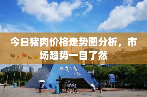 今日猪肉价格走势图分析，市场趋势一目了然