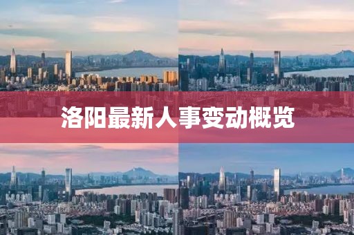 洛阳最新人事变动概览