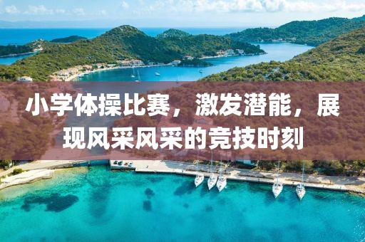 小学体操比赛，激发潜能，展现风采风采的竞技时刻