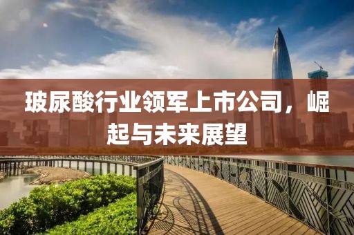 玻尿酸行业领军上市公司，崛起与未来展望