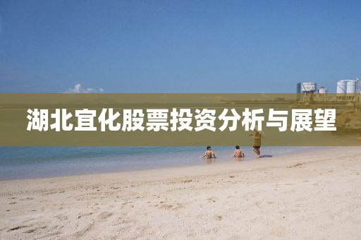 湖北宜化股票投资分析与展望