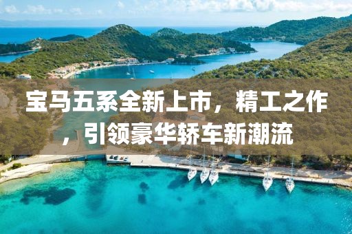 宝马五系全新上市，精工之作，引领豪华轿车新潮流