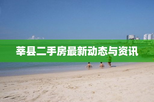 莘县二手房最新动态与资讯