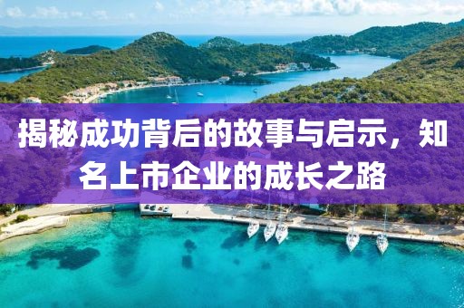 揭秘成功背后的故事与启示，知名上市企业的成长之路