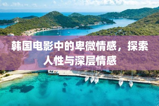 韩国电影中的卑微情感，探索人性与深层情感