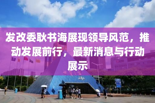 发改委耿书海展现领导风范，推动发展前行，最新消息与行动展示