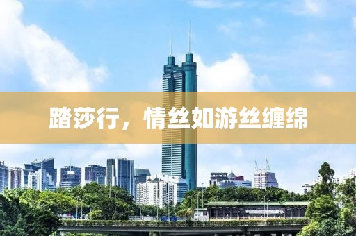 踏莎行，情丝如游丝缠绵
