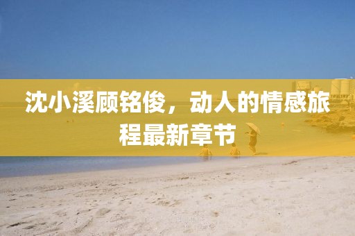 沈小溪顾铭俊，动人的情感旅程最新章节