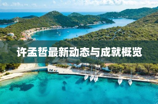 许孟哲最新动态与成就概览