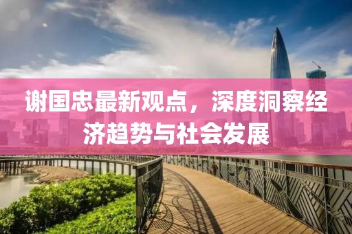 谢国忠最新观点，深度洞察经济趋势与社会发展