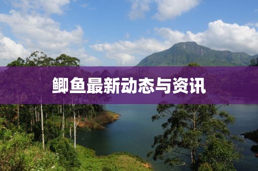 鲫鱼最新动态与资讯