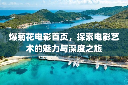 爆菊花电影首页，探索电影艺术的魅力与深度之旅