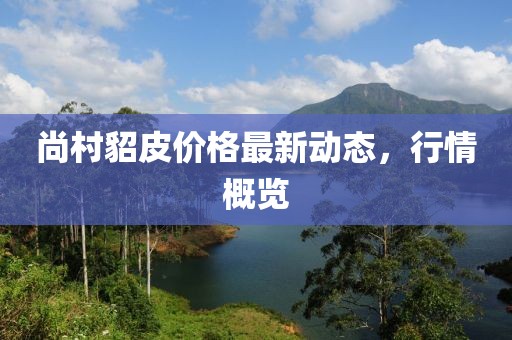 尚村貂皮价格最新动态，行情概览