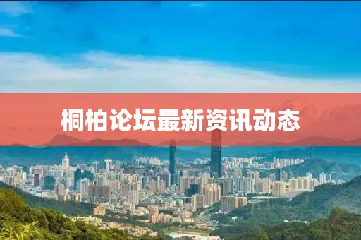 桐柏论坛最新资讯动态