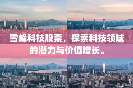 雪峰科技股票，探索科技领域的潜力与价值增长。