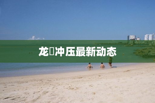 龙堌冲压最新动态