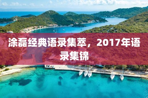 涂磊经典语录集萃，2017年语录集锦