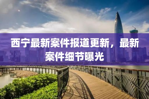 西宁最新案件报道更新，最新案件细节曝光