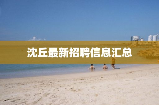 沈丘最新招聘信息汇总
