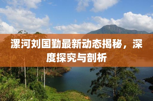 漯河刘国勤最新动态揭秘，深度探究与剖析