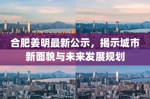 合肥姜明最新公示，揭示城市新面貌与未来发展规划