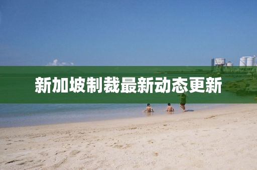 新加坡制裁最新动态更新