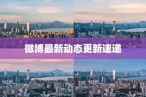 微博最新动态更新速递