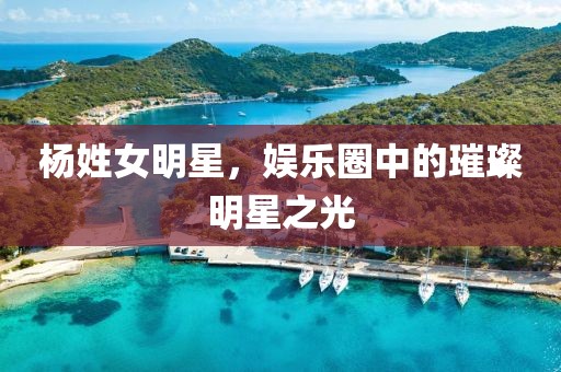 杨姓女明星，娱乐圈中的璀璨明星之光