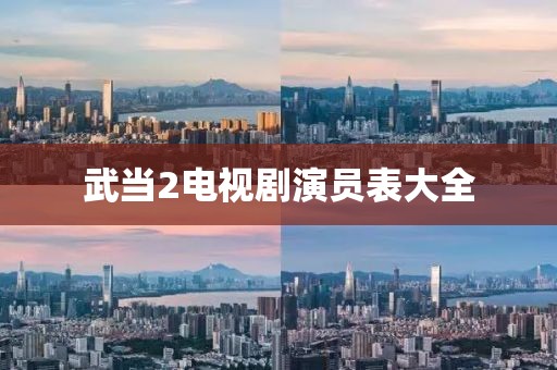 武当2电视剧演员表大全