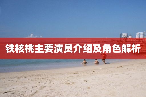 铁核桃主要演员介绍及角色解析