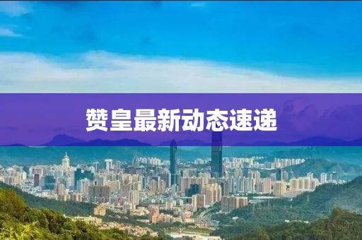 赞皇最新动态速递