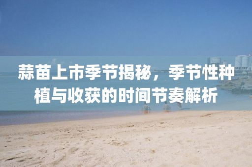 蒜苗上市季节揭秘，季节性种植与收获的时间节奏解析