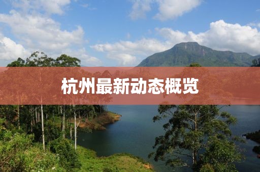 杭州最新动态概览