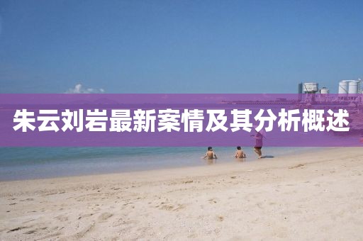 朱云刘岩最新案情及其分析概述