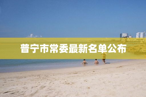 普宁市常委最新名单公布