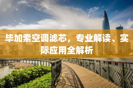 毕加索空调滤芯，专业解读、实际应用全解析