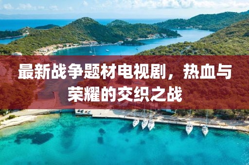 最新战争题材电视剧，热血与荣耀的交织之战