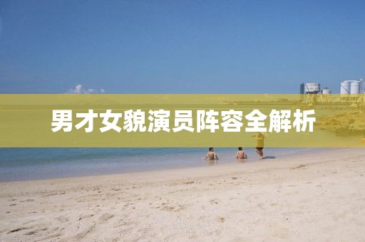 男才女貌演员阵容全解析