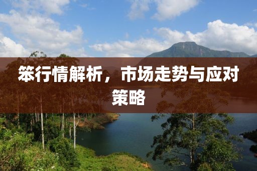 笨行情解析，市场走势与应对策略