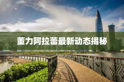 董力阿拉蕾最新动态揭秘