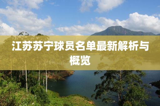 江苏苏宁球员名单最新解析与概览